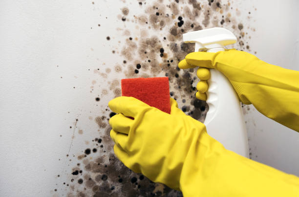 Water Damage Restoration in Pierson, FL